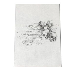 hN   |X^[ yIׂSTCYpz t@bV |X^[ A[g _ G  a0 a1 a2 a3 a4 b0 b1 b2 b3 b4  傫  tHg cypbg-poster-3036z