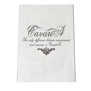   eLXg p |X^[ yIׂSTCYpz t@bV |X^[ A[g _ G  a0 a1 a2 a3 a4 b0 b1 b2 b3 b4  傫  tHg cypbg-poster-3048z