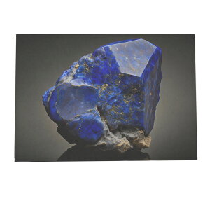 �� �V�R�� ���s�X���Y�� �|�X�^�[ �y�I�ׂ�S�T�C�Y���p���z �C���e���A �t�H�g �I�V���� �A�[�g ���_�� ���ysi-poster-22�z