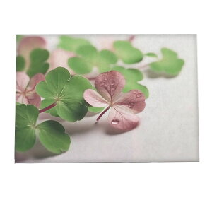 sN   ^C N |X^[ yIׂSTCYpz t@bV |X^[ A[g _ G  a0 a1 a2 a3 a4 b0 b1 b2 b3 b4  傫  tHg ysi-poster-230z