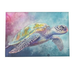 C{[ E~K  ^C N |X^[ yIׂSTCYpz t@bV |X^[ A[g _ G  a0 a1 a2 a3 a4 b0 b1 b2 b3 b4  傫  tHg ysi-poste