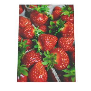 C`S t[c  Hi |X^[ H CeA HX X[p[ Lb`  ze r[  Hו t[h hN a0 a1 a2 a3 a4 b0 b1 b2 b3 b4 cyan-poster-544z