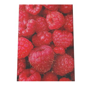 t[c  Hi |X^[ H CeA HX X[p[ Lb`  ze r[  Hו t[h hN a0 a1 a2 a3 a4 b0 b1 b2 b3 b4 cyan-poster-671z