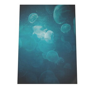 NQ 炰 WF[tBbV |X^[ C̐ I[V yp×TCY×fUCz A[gvg |X^[ CeA T[tnCeA    ʐ^yan-poster-689z