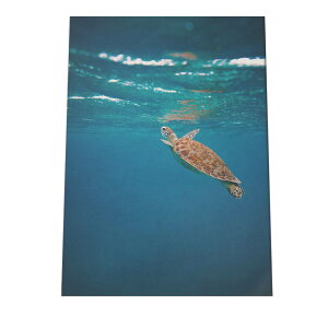 CT J |X^[ C̐ I[V yp×TCY×fUCz A[gvg |X^[ CeA T[tnCeA    ʐ^yan-poster-700z