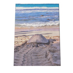 CT J |X^[ C̐ I[V yp×TCY×fUCz A[gvg |X^[ CeA T[tnCeA    ʐ^yan-poster-704z