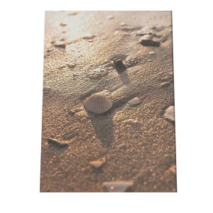 L VF AT Lk |X^[ C̐ I[V yp×TCY×fUCz A[gvg |X^[ CeA T[tnCeA    ʐ^yan-poster-717z