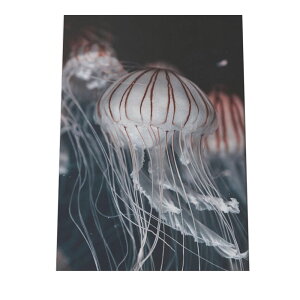 NQ 炰 WF[tBbV |X^[ C̐ I[V yp×TCY×fUCz A[gvg |X^[ CeA T[tnCeA    ʐ^yan-poster-730z