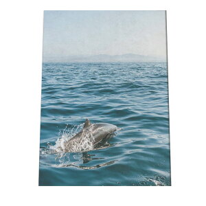 クジラ イルカ 海豚 鯨 ポスター 海の生き物 オーシャン 【用紙×サイズ×デザイン】 アートプリント ポスター インテリア サーフ系インテリア 水族館 水中 魚 写真【an-poster-731】