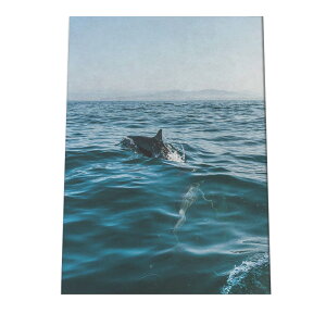 NW CJ C ~ |X^[ C̐ I[V yp×TCY×fUCz A[gvg |X^[ CeA T[tnCeA    ʐ^yan-poster-732z