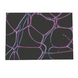 |X^[ yIׂSTCYpz A[gvg |X^[ CeA  t@bV |X^[ tHg t[ IV A[g _ Vv IV  a0 a1 a2 a3 a4 b0 