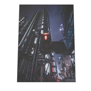 COi h Xp |X^[ yIׂSTCYpz ʐ^ tHg |XgJ[h |X^[ jO C_XgA ACAƋɍV[Yyan-poster-879z