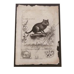 ؎蕗  lR  |X^[ g Î CeA I[h t[ylh-poster-1551z