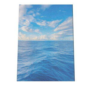 |X^[ T[tn C u[ ₩ C V̖  CeA  t@bV tHg IV _ysi-poster-1219z