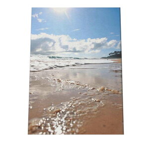 |X^[ T[tn C u[ ₩ C V̖  CeA  t@bV tHg IV _ysi-poster-1238z