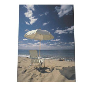 |X^[ T[tn C u[ ₩ C V̖  CeA  t@bV tHg IV _ysi-poster-1270z