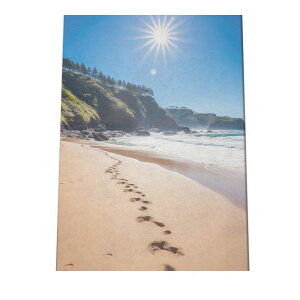 |X^[ T[tn C u[ ₩ C V̖  CeA  t@bV tHg IV _ysi-poster-1284z