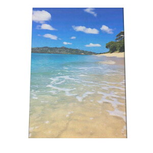 R[X^ CeA C̃|X^[ I[V V[fUC C CeA   썑  T[tn T[tBysi-poster-1404z