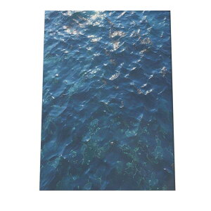 R[X^ CeA C̃|X^[ I[V V[fUC C CeA   썑  T[tn T[tBysi-poster-1431z