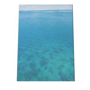 R[X^ CeA C̃|X^[ I[V V[fUC C CeA   썑  T[tn T[tBysi-poster-1442z