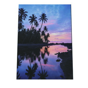 C beach r[` g  ][g [Ă V̖ RRibc C |X^[ CeA ylh-poster-2776z