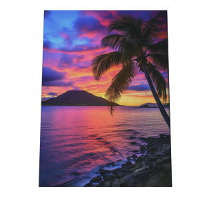 C beach r[` g  ][g [Ă V̖ RRibc C |X^[ CeA ylh-poster-2778z