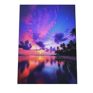 C beach r[` g  ][g [Ă V̖ RRibc C |X^[ CeA ylh-poster-2779z