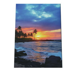 C beach r[` g  ][g [Ă V̖ RRibc C |X^[ CeA ylh-poster-2780z