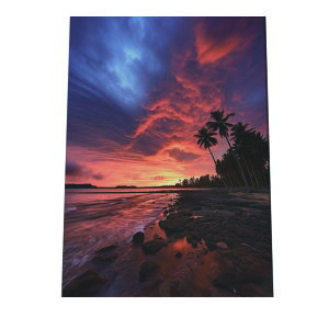 C beach r[` g  ][g [Ă V̖ RRibc C |X^[ CeA ylh-poster-2784z