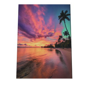 C beach r[` g  ][g [Ă V̖ RRibc C |X^[ CeA ylh-poster-2785z