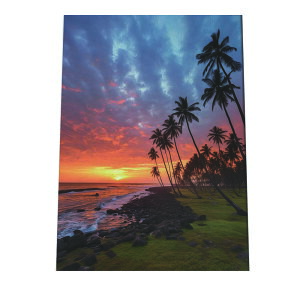 C beach r[` g  ][g [Ă V̖ RRibc C |X^[ CeA ylh-poster-2787z