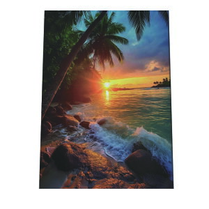 C beach r[` g  ][g [Ă V̖ RRibc C |X^[ CeA ylh-poster-2788z