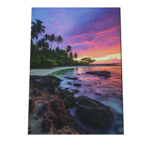 C beach r[` g  ][g [Ă V̖ RRibc C |X^[ CeA ylh-poster-2797z