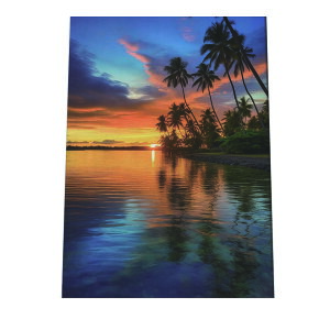 C beach r[` g  ][g [Ă V̖ RRibc C |X^[ CeA ylh-poster-2801z