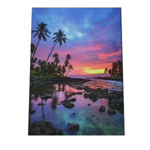 C beach r[` g  ][g [Ă V̖ RRibc C |X^[ CeA ylh-poster-2807z