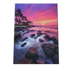 C beach r[` g  ][g [Ă V̖ RRibc C |X^[ CeA ylh-poster-2812z