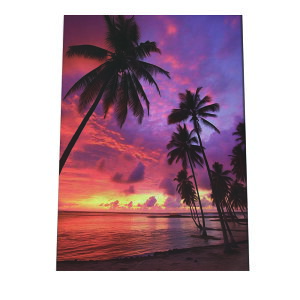 C beach r[` g  ][g [Ă V̖ RRibc C |X^[ CeA ylh-poster-2815z