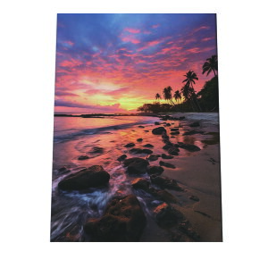 C beach r[` g  ][g [Ă V̖ RRibc C |X^[ CeA ylh-poster-2825z