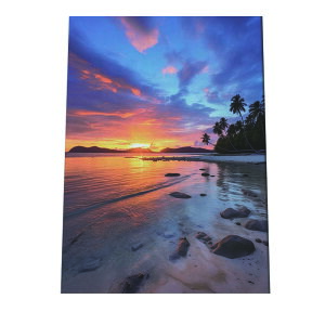 C beach r[` g  ][g [Ă V̖ RRibc C |X^[ CeA ylh-poster-2829z