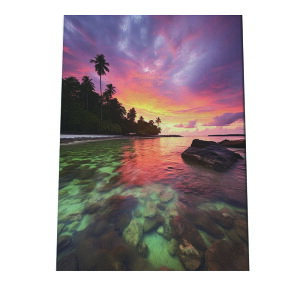 C beach r[` g  ][g [Ă V̖ RRibc C |X^[ CeA ylh-poster-2837z