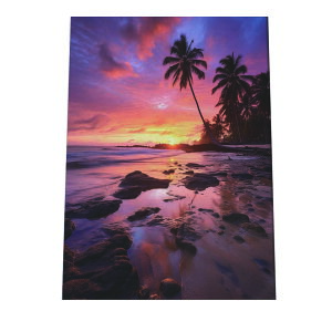 C beach r[` g  ][g [Ă V̖ RRibc C |X^[ CeA ylh-poster-2843z