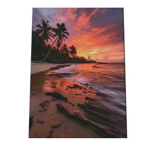 C beach r[` g  ][g [Ă V̖ RRibc C |X^[ CeA ylh-poster-2844z