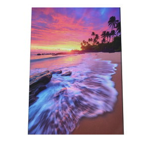 C beach r[` g  ][g [Ă V̖ RRibc C |X^[ CeA ylh-poster-2848z