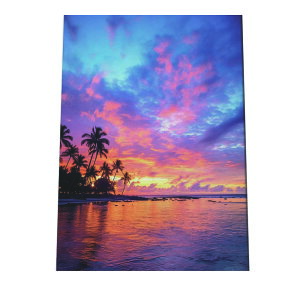 C beach r[` g  ][g [Ă V̖ RRibc C |X^[ CeA ylh-poster-2849z