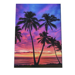 C beach r[` g  ][g [Ă V̖ RRibc C |X^[ CeA ylh-poster-2852z