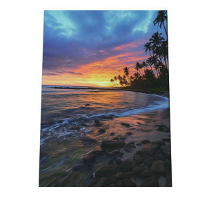 C beach r[` g  ][g [Ă V̖ RRibc C |X^[ CeA ylh-poster-2853z