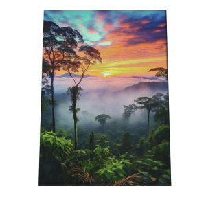 |X^[ WO X   [Ă iF R J i v  i`CeA A[o_ A[fRylh-poster-2859z