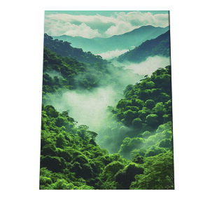 |X^[ WO X   [Ă iF R J i v  i`CeA A[o_ A[fRylh-poster-2874z