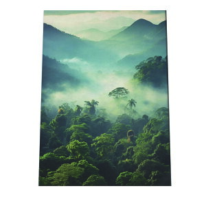 |X^[ WO X   [Ă iF R J i v  i`CeA A[o_ A[fRylh-poster-2880z