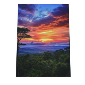 |X^[ WO X   [Ă iF R J i v  i`CeA A[o_ A[fRylh-poster-2886z